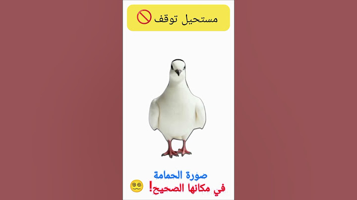 مستحيل توقف صورة الحمامة في مكانها الصحيح😵‍💫