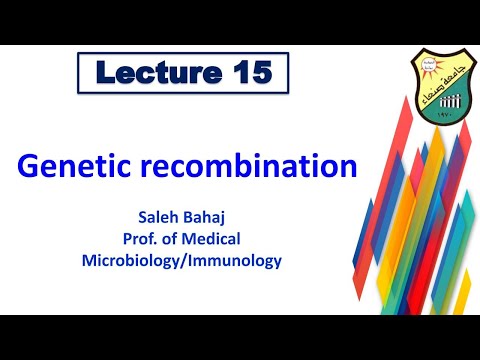 15- Genetic recombination