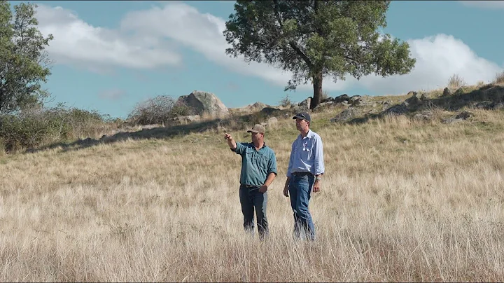 Targeting feral pigs across boundaries