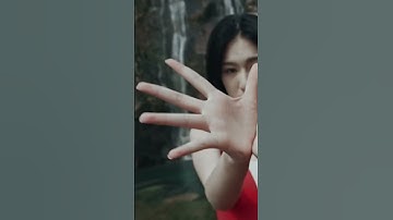 Best Mirrorless Camera Gimbals of 2024: Steady Shots