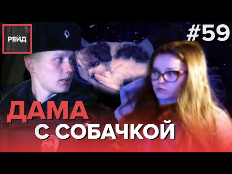 ДАМА С СОБАЧКОЙ ПОПАЛА В ДТП - РЕЙД #59