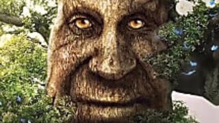 Wise Old Mystical tree meme 🍃