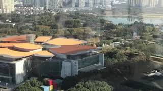 freeFORM Board programming workshop in China 2019