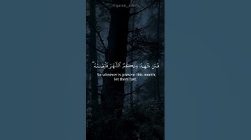 سورة البقرة بصوت القارئ شريف مصطفى (اكتب شيء تؤجر عليه 🤍🌿)