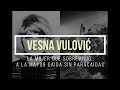 Vesna Vulović: la mujer que sobrevivió a la mayor caída sin paracaídas