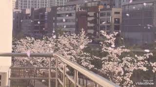 그가 찔림은 우리의 허물을 인함이요 그가 찔림은 우리의 허물을 인함이요