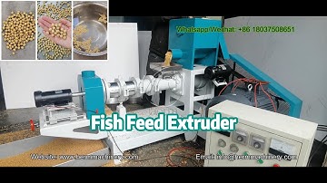 How the Dry Type Floating Fish Pellet Machine works #fishfeedmachine #fishfeedmakingmachine