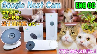 Google Nest Cam verified the value brought to life living with a cat!