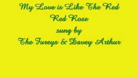 My Love is Like A Red Red Rose - The Fureys & Davey Arthur