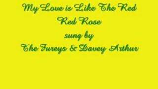 My Love is Like A Red Red Rose - The Fureys & Davey Arthur chords
