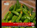 الرئيس السيسي يفتتح 1300 صوبة زراعية على مساحة 10 آلاف فدان (كامل)