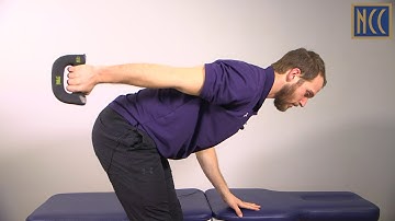 Bicep Curl, Tricep Extension, Bent Over Row