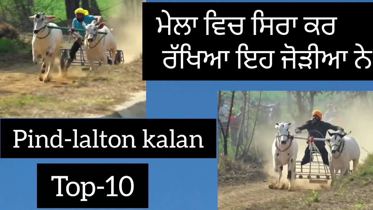 Pind-Lalton kalan Top-10 #oxracepunjab #shonkpunjabde 