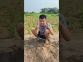 Found a can of gold