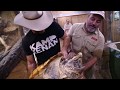 Kamp Kenan is in the House! Tortoises, Lizards & Room Tour