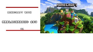 Minecraft With Mrblackmagic 203