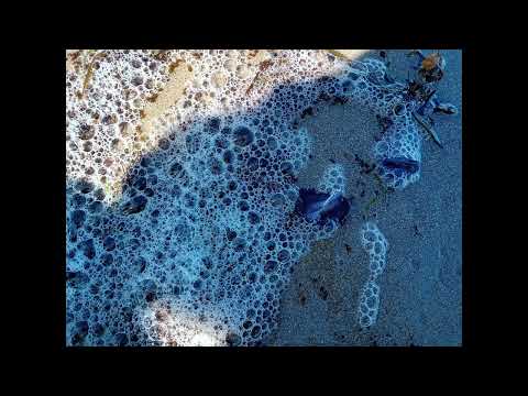 Hakim Le Chat Nasser Et Fatima Témara Kénifra