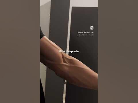 First bicep vein - YouTube