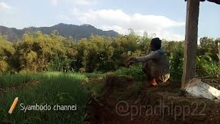 Story wa -konco tani -manut dalane