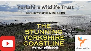 Kilnsea wetlands - Yorkshire Wildlife Trust (Mar 24)