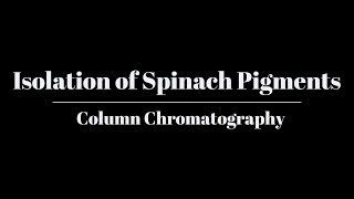 Isolation of Spinach Pigments Column Chromatography