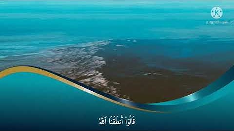 تلاوة من سورة (فصلت) . من تراويح رمضان 1442 ه / 2021 م.