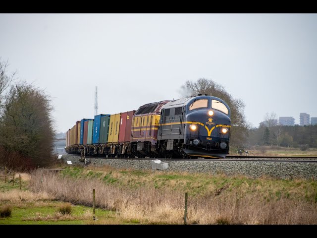 VIKING-Rail - MX 1023 + 1833 med prøve containertog - Aalborg-Aarhus - 30-03-2024