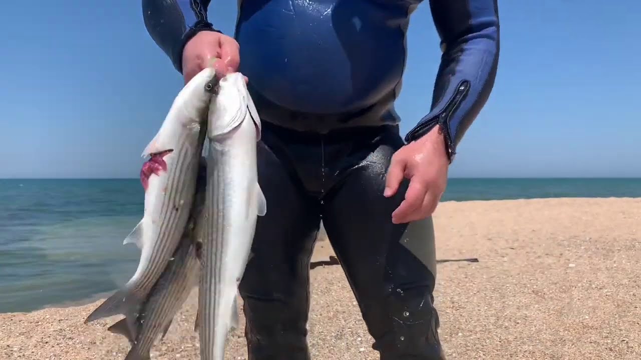 I CAUGHT, CLEANED AND COOKED CASPIAN FISH! FISH BURGER RECIPE