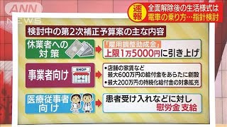 “全面解除”総理会見のポイント　新たな給付金など(20/05/25)
