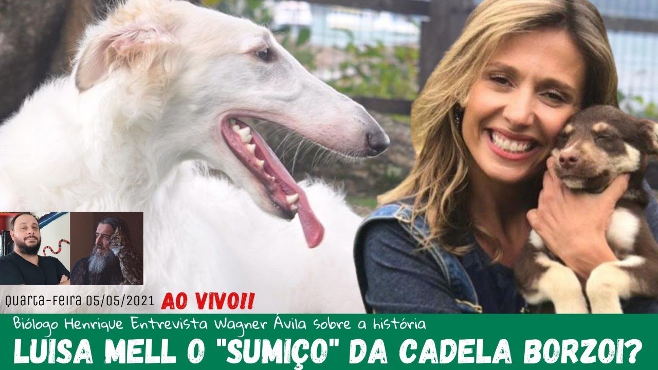 Luiza Mell e a Borzoi, Entrevista ao Vivo com Ávila para entender a história.