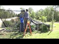 Summer Garden; Use Less Water with Shade Cloth