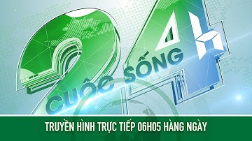 Bảo tồn cây Trôi di sản 800 năm tuổi | VTC14 GREEN