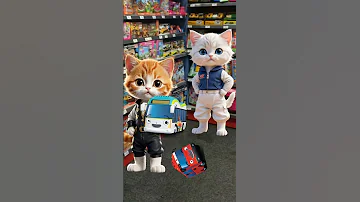 Yup For A Toy Funny Cat Shortsfeed Cute Ytshorts 