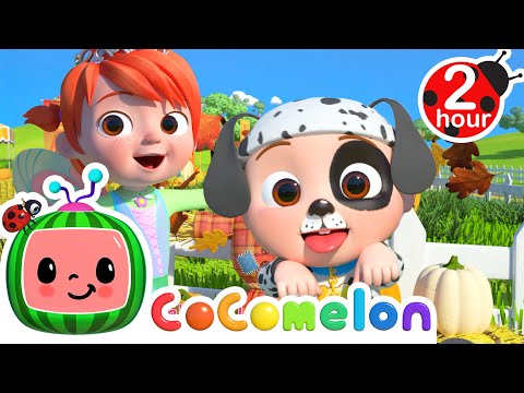 Finger Family Halloween + Trick or Treat Song + MORE CoComelon