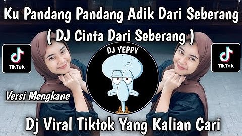 DJ CINTA DARI SEBERANG REMIX || KU PANDANG PANDANG ADIK DARI SEBERANG VIRAL TIKTOK 2025