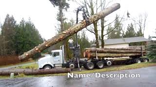 Timer Processing Profile