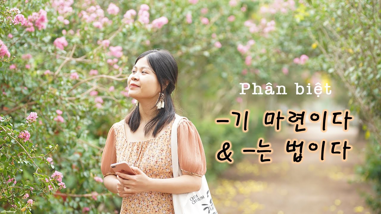 Phân biệt -기 마련이다 \u0026 -는 법이다 | Ngữ pháp Tiếng Hàn cao cấp | Park HA Official