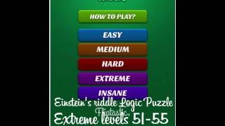Real Einstein's riddle, extreme levels 51-55 screenshot 4