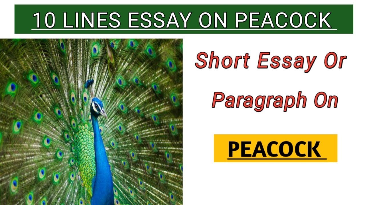 short essay writing on peacock