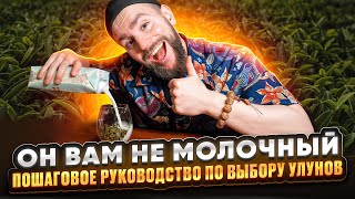 Улун НЕ только молочный. Какие бывают улуны? Зеленый, черный и габа улун |Китайский чай