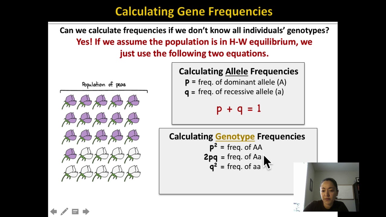 Unit 12 Evolutionary Biology Review camera iphone 8 plus apk