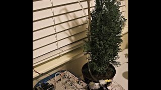 Solar Powered Automatic Watering System Tutorial