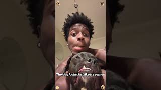 Funny dogs🤣🤣🤣 #funny #fyp #dogs