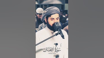 واحدة من أجمل التلاوات للشيخ رعد الكردي