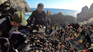 Mira! la Extracción de Mariscos por lugares Arriesgados
