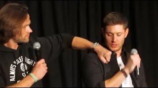 Jared Doesnt Like Snakes And Bees Dont Like Jensen W Cc