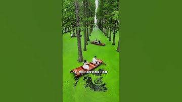 世界上只有江苏才有的12大绝美风景，你去过几个呢？#旅行推荐官 ＃旅行大玩家 ＃旅游攻略＃江苏旅游 #景点打卡