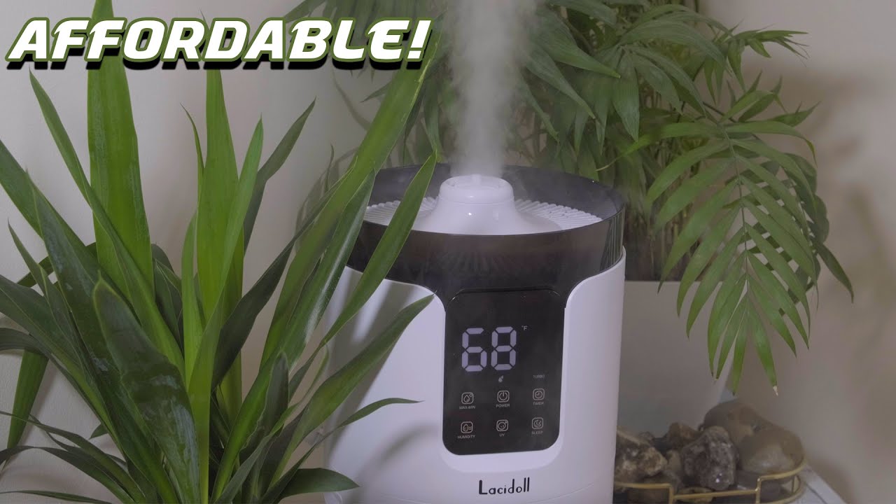 LACIDOLL Humidifier - Affordable And High Quality { REVIEW UNBOXING