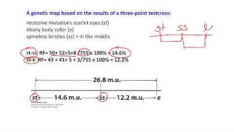 Ch7.2.1 Gene mapping