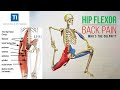 Name Of Lower Back To Hip Muscles : Stretch your hip flexor muscles for lower back stability / In human anatomy, the muscles of the hip joint are those muscles that cause movement in the hip.